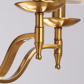 Подвесная люстра MW-Light Вирджиния 7 444012205 в Снежинске - snezhinsk.mebel24.online | фото 10