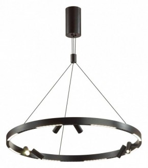 Подвесная люстра Odeon Light Beveren 6683/103L в Снежинске - snezhinsk.mebel24.online | фото 2