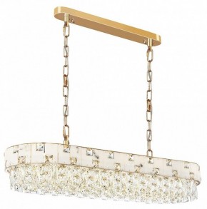 Подвесная люстра Odeon Light Chessi 5076/10 в Снежинске - snezhinsk.mebel24.online | фото 2