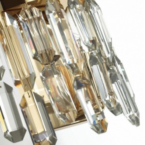 Подвесная люстра Odeon Light Dakisa 4986/12 в Снежинске - snezhinsk.mebel24.online | фото 8