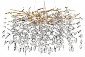 Подвесная люстра Odeon Light Delica 4969/10 в Снежинске - snezhinsk.mebel24.online | фото