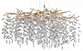 Подвесная люстра Odeon Light Delica 4969/12 в Снежинске - snezhinsk.mebel24.online | фото 2
