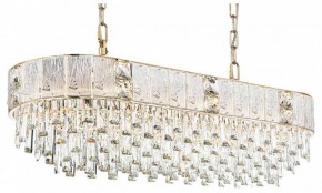 Подвесная люстра Odeon Light Fiesta 5070/14 в Снежинске - snezhinsk.mebel24.online | фото