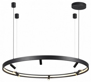 Подвесная люстра Odeon Light Fonda 4317/93L в Снежинске - snezhinsk.mebel24.online | фото 4