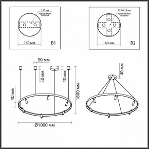 Подвесная люстра Odeon Light Fonda 4317/93L в Снежинске - snezhinsk.mebel24.online | фото 6