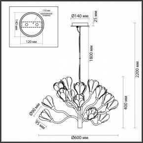 Подвесная люстра Odeon Light Gardi 5090/15 в Снежинске - snezhinsk.mebel24.online | фото 6