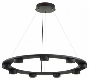 Подвесная люстра Odeon Light Turman 6631/75L в Снежинске - snezhinsk.mebel24.online | фото 2
