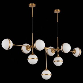 Подвесная люстра ST-Luce Arbe SL1157.303.09 в Снежинске - snezhinsk.mebel24.online | фото 4