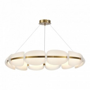 Подвесная люстра ST-Luce Etoile SL1304.203.65 в Снежинске - snezhinsk.mebel24.online | фото 2