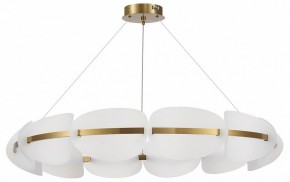 Подвесная люстра ST-Luce Etoile SL1304.203.65 в Снежинске - snezhinsk.mebel24.online | фото 3