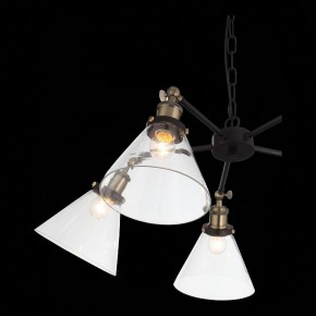 Подвесная люстра ST-Luce Evoluto SL237.413.05 в Снежинске - snezhinsk.mebel24.online | фото 7