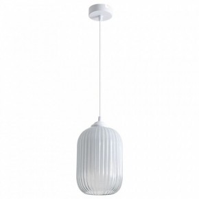 Подвесной светильник Arte Lamp Arwen A1902SP-1WH в Снежинске - snezhinsk.mebel24.online | фото 2