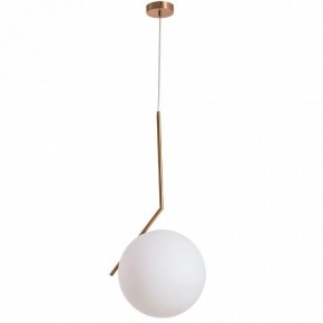 Подвесной светильник Arte Lamp Bolla-Unica A1921SP-1AB в Снежинске - snezhinsk.mebel24.online | фото 2