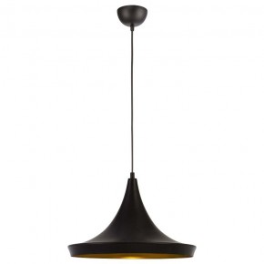 Подвесной светильник Arte Lamp Capello A3406SP-1BK в Снежинске - snezhinsk.mebel24.online | фото 2