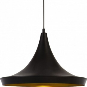 Подвесной светильник Arte Lamp Capello A3406SP-1BK в Снежинске - snezhinsk.mebel24.online | фото 3