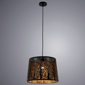 Подвесной светильник Arte Lamp Celesta A2769SP-1BK в Снежинске - snezhinsk.mebel24.online | фото 3