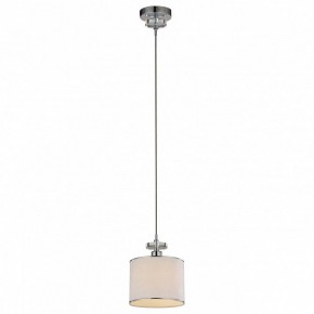 Подвесной светильник Arte Lamp Furore A3990SP-1CC в Снежинске - snezhinsk.mebel24.online | фото 2