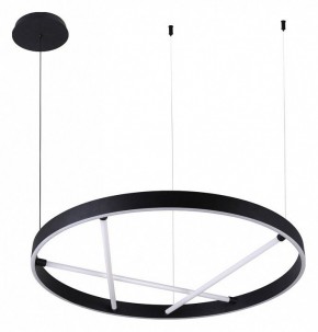 Подвесной светильник Arte Lamp Ricco A1874SP-45BK в Снежинске - snezhinsk.mebel24.online | фото 2