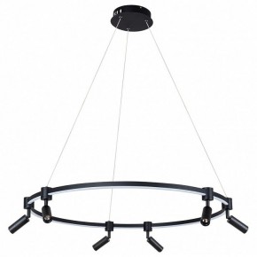 Подвесной светильник Arte Lamp Ring A2186SP-1BK в Снежинске - snezhinsk.mebel24.online | фото 2