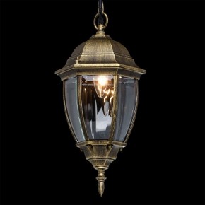 Подвесной светильник DeMarkt Фабур 1 804010401 в Снежинске - snezhinsk.mebel24.online | фото 11