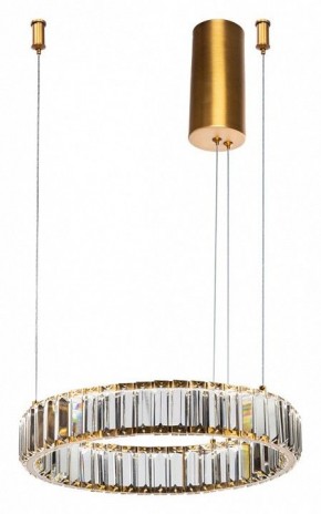 Подвесной светильник Divinare Renata 1135/17 SP-25 в Снежинске - snezhinsk.mebel24.online | фото 2