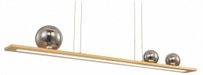 Подвесной светильник Favourite Bilico 4549-3P в Снежинске - snezhinsk.mebel24.online | фото 2