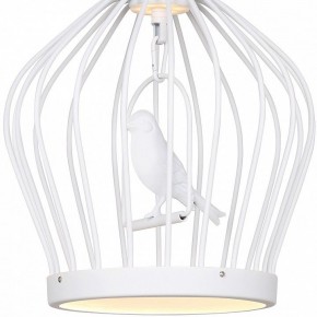 Подвесной светильник Favourite Chick 1931-2P в Снежинске - snezhinsk.mebel24.online | фото 3
