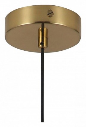 Подвесной светильник Favourite Copita 2777-1P в Снежинске - snezhinsk.mebel24.online | фото 5
