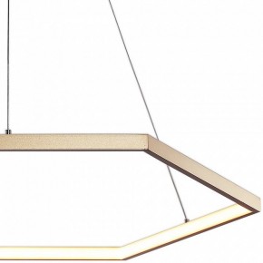 Подвесной светильник Favourite Hexagon 2103-6P в Снежинске - snezhinsk.mebel24.online | фото 3