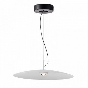 Подвесной светильник Favourite Lars 4410-2P в Снежинске - snezhinsk.mebel24.online | фото 2