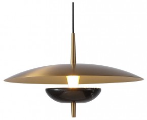 Подвесной светильник Favourite Marmo 4246-1P в Снежинске - snezhinsk.mebel24.online | фото