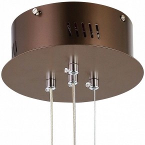 Подвесной светильник Favourite Saturn 2102-2P в Снежинске - snezhinsk.mebel24.online | фото 5