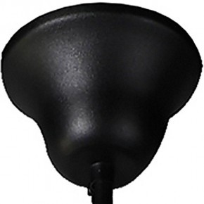 Подвесной светильник Favourite Situla 1976-1P в Снежинске - snezhinsk.mebel24.online | фото 6