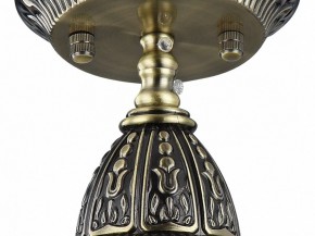 Подвесной светильник Favourite Sorento 1584-1P в Снежинске - snezhinsk.mebel24.online | фото 4