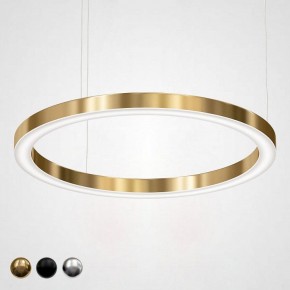 Подвесной светильник Imperiumloft Light Ring Horizontal 40.1454-100 в Снежинске - snezhinsk.mebel24.online | фото