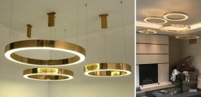 Подвесной светильник Imperiumloft Light Ring Horizontal 40.1454-100 в Снежинске - snezhinsk.mebel24.online | фото 2