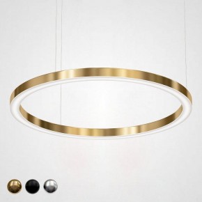 Подвесной светильник Imperiumloft Light Ring Horizontal 40.1454-120 в Снежинске - snezhinsk.mebel24.online | фото