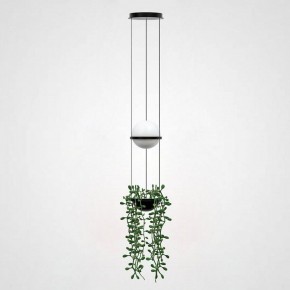 Подвесной светильник Imperiumloft Palma Wall Lamp 22.93727 в Снежинске - snezhinsk.mebel24.online | фото