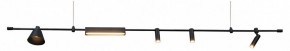 Подвесной светильник Kink Light Ристо 07616-180L,19 в Снежинске - snezhinsk.mebel24.online | фото