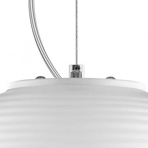 Подвесной светильник Lightstar Arnia 805011 в Снежинске - snezhinsk.mebel24.online | фото 6