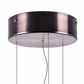 Подвесной светильник Lightstar Celesta 809210 в Снежинске - snezhinsk.mebel24.online | фото 9