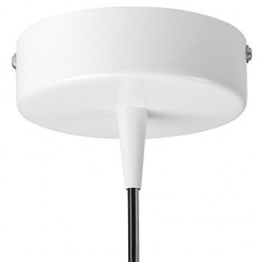 Подвесной светильник Lightstar Conicita 804110 в Снежинске - snezhinsk.mebel24.online | фото 6