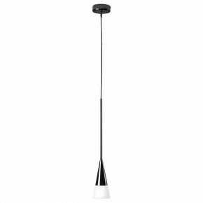 Подвесной светильник Lightstar Conicita 804117 в Снежинске - snezhinsk.mebel24.online | фото 2