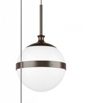 Подвесной светильник Lightstar Globo 813137 в Снежинске - snezhinsk.mebel24.online | фото 5