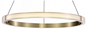 Подвесной светильник Lightstar Rotonda 736261 в Снежинске - snezhinsk.mebel24.online | фото