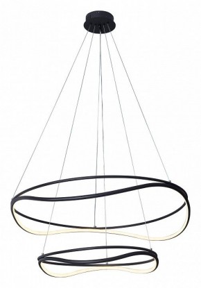 Подвесной светильник Lightstar Rotonda 736527 в Снежинске - snezhinsk.mebel24.online | фото 2