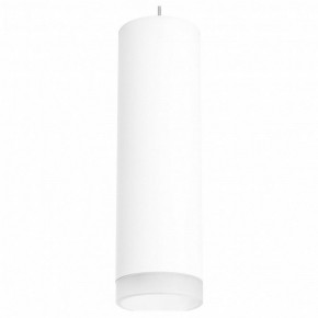 Подвесной светильник Lightstar Rullo RP649680 в Снежинске - snezhinsk.mebel24.online | фото 2