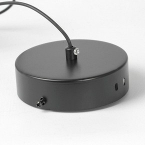Подвесной светильник Lussole Bradford LSP-7154 в Снежинске - snezhinsk.mebel24.online | фото 6