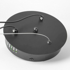 Подвесной светильник Lussole Bradford LSP-7160 в Снежинске - snezhinsk.mebel24.online | фото 7