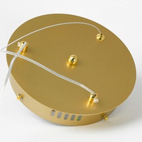 Подвесной светильник Lussole Bradford LSP-7161 в Снежинске - snezhinsk.mebel24.online | фото 6